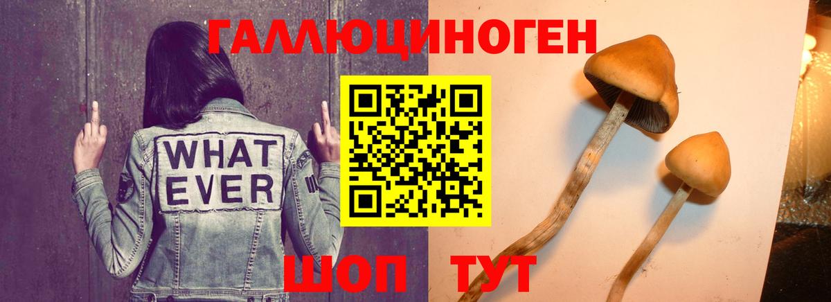Галлюциногенные грибы GOLDEN TEACHER Анапа